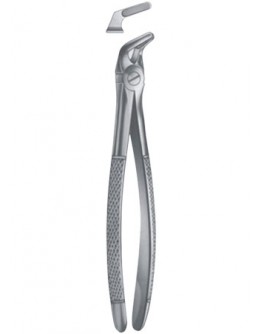 Extracting Forceps - English Pattern