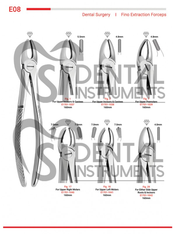 Fino Extraction Forceps