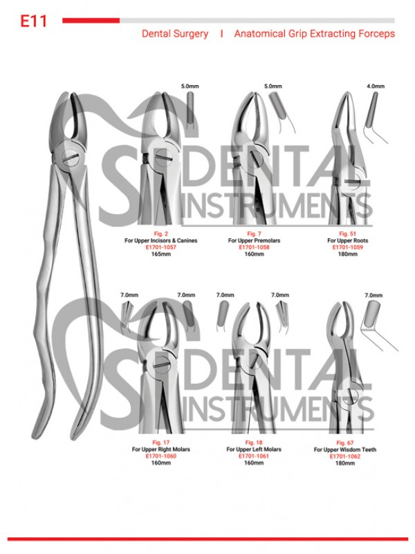 Anatomical Grip Extracting Forceps