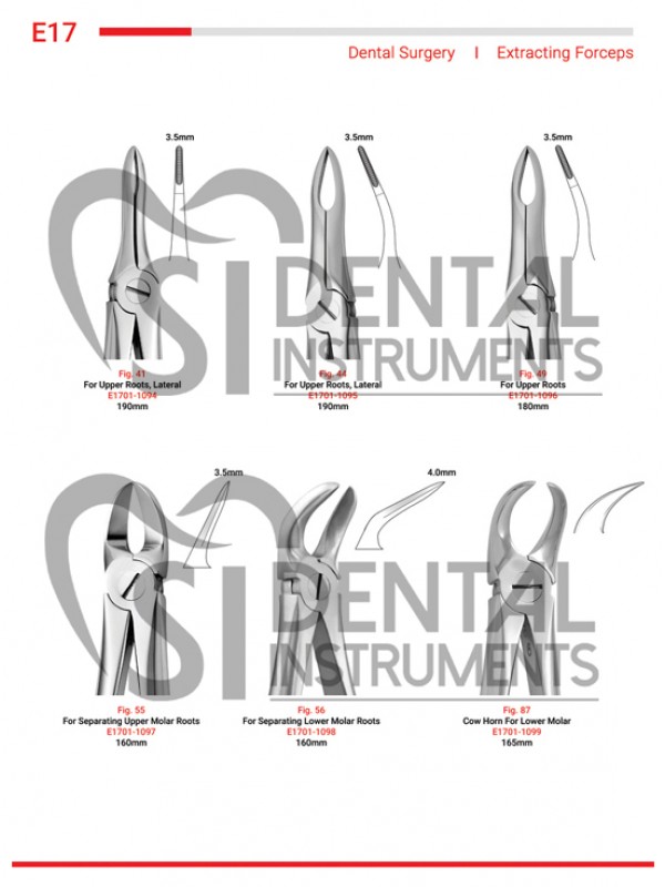 Extracting Forceps