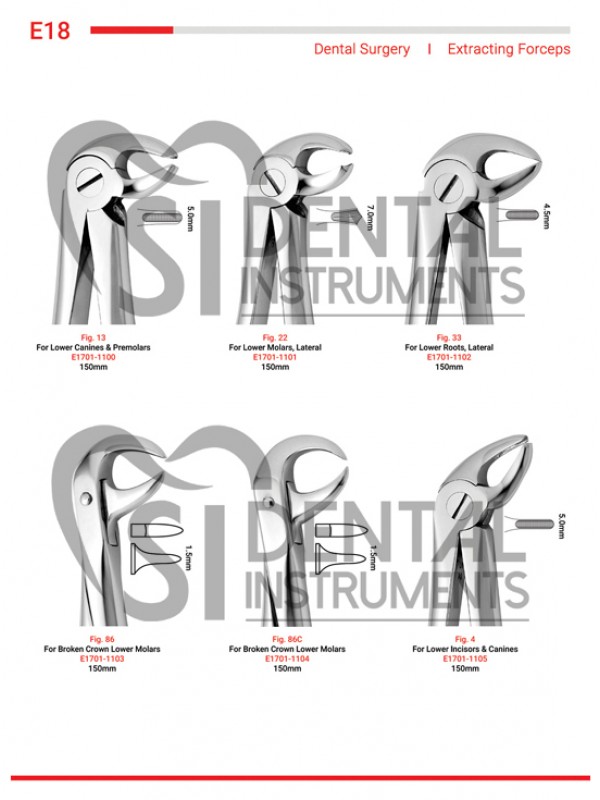 Extracting Forceps