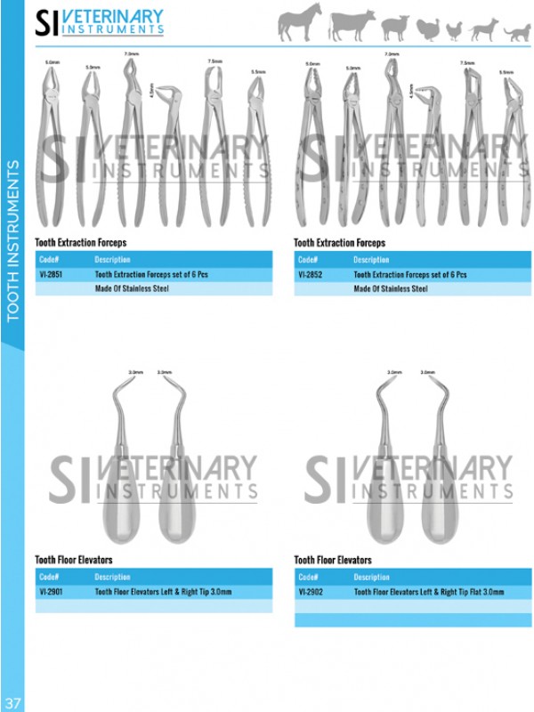 Tooth Instruments